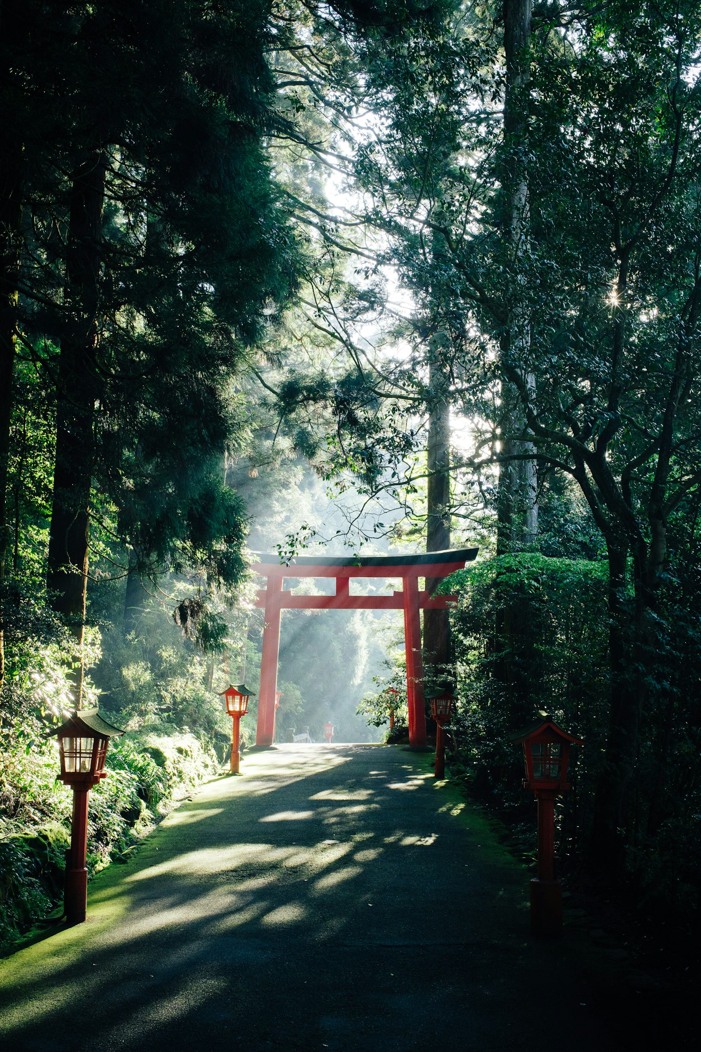 涩谷