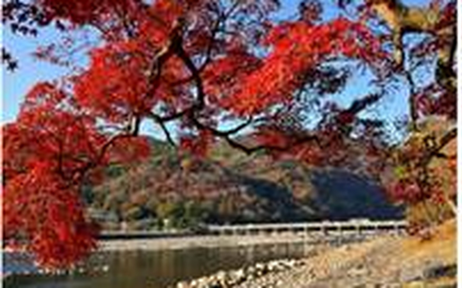 岚山渡月桥