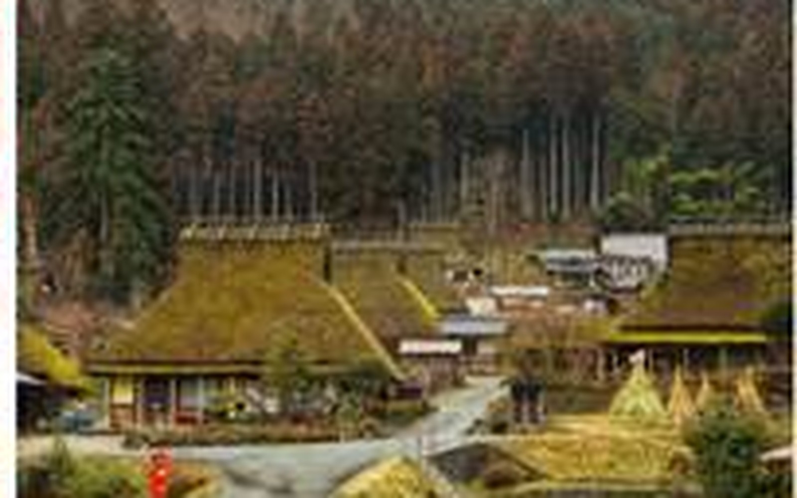美山町 ~ 合掌村原风景