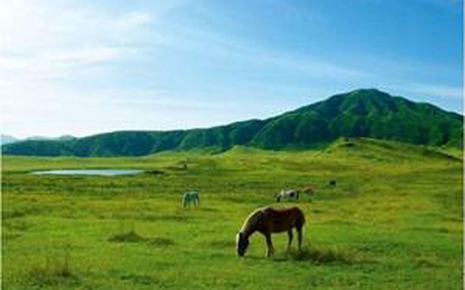 草千里浜(Aso-Kusasenri)