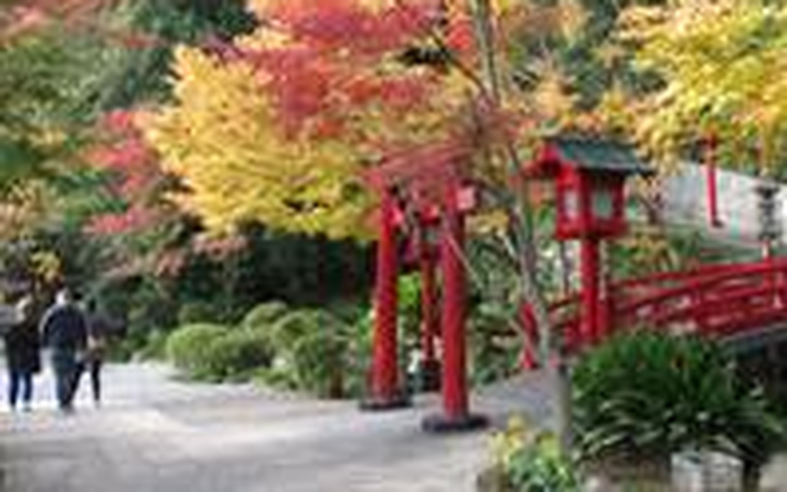 海地狱(Umi Jigoku)