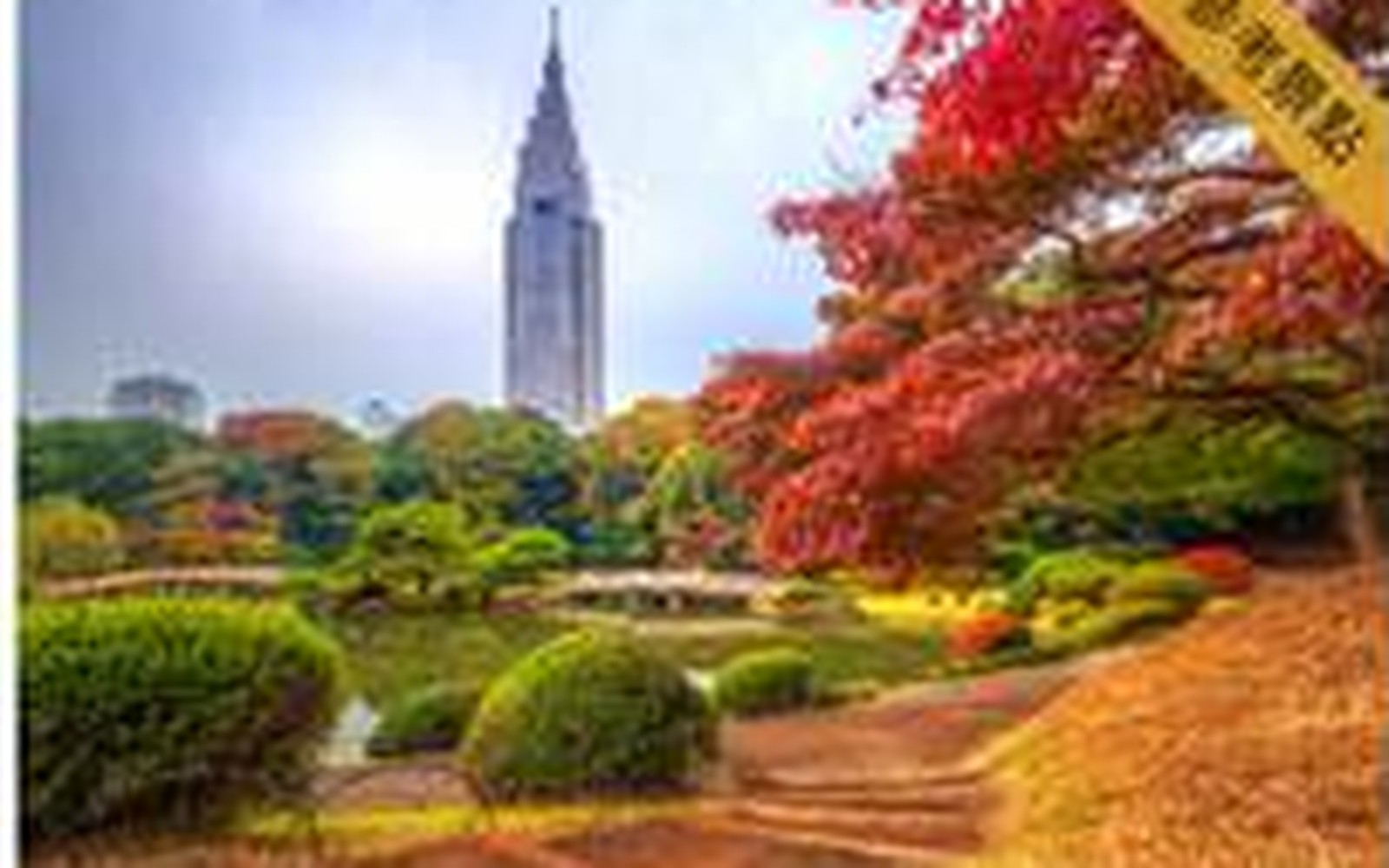 新宿御苑 ～ 参考经典，自行前往