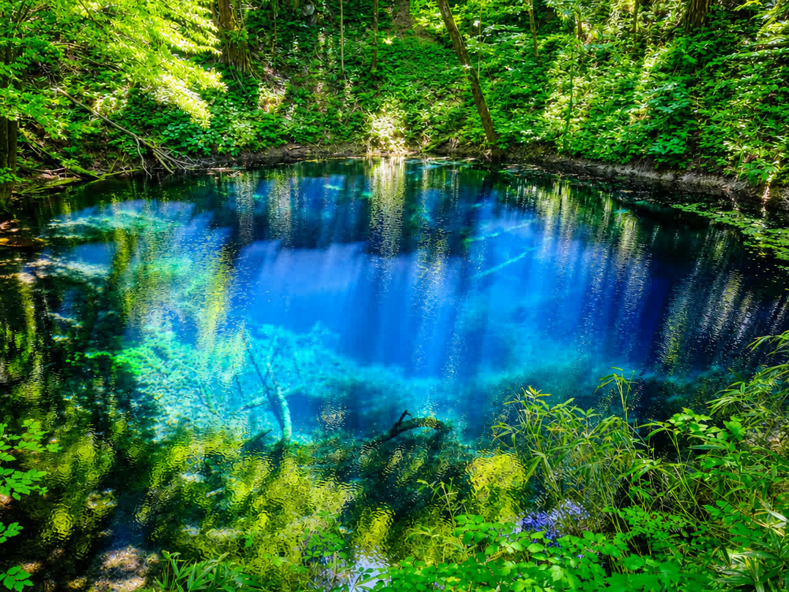 Shirakami-Sanchi Twelve Lakes · Aoike (Blue Pond)