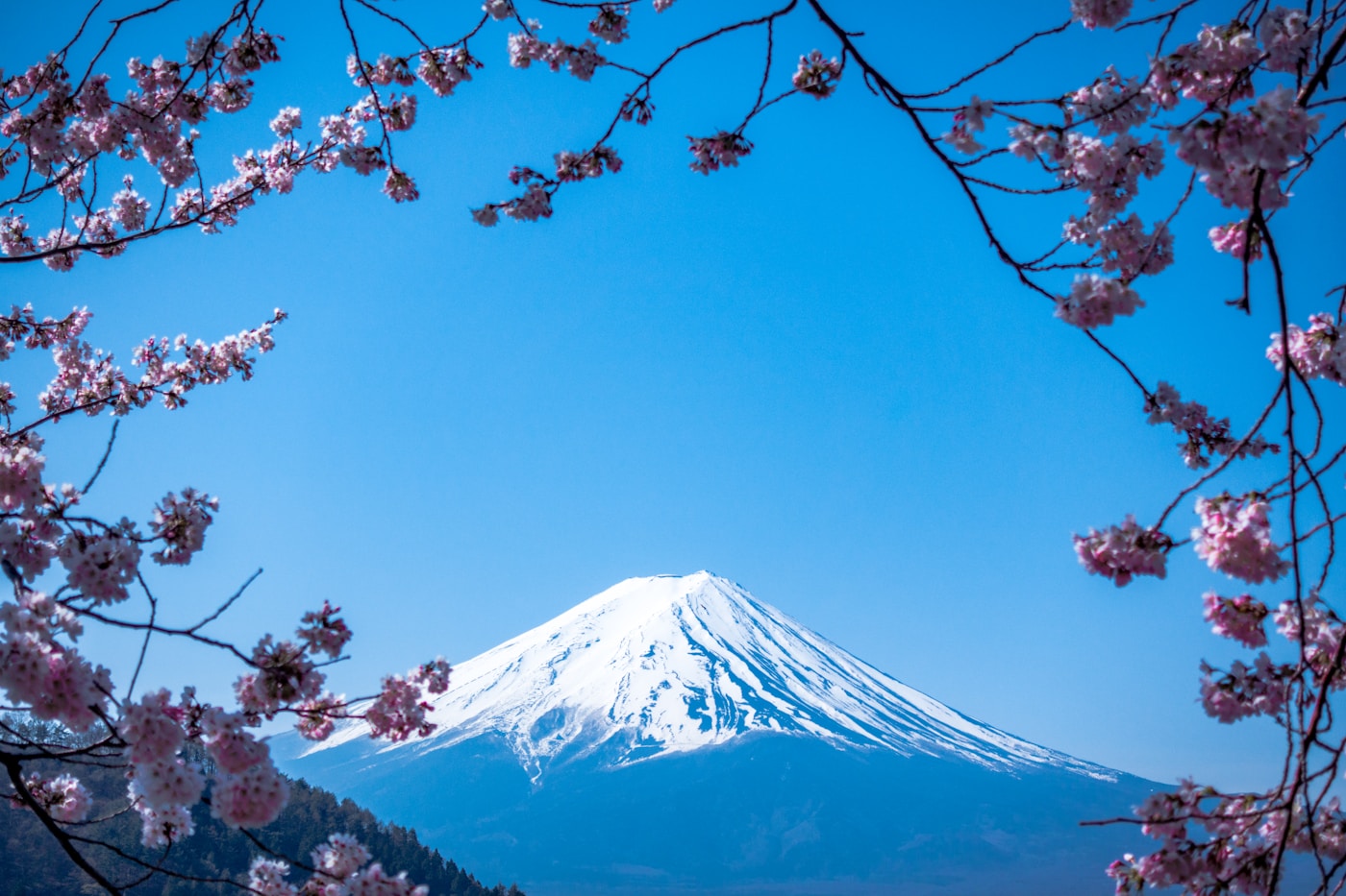 Travel Insurance